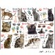 �ڤ������åȡ�ž�̻��CAT LOVER A&B��  ���å�����