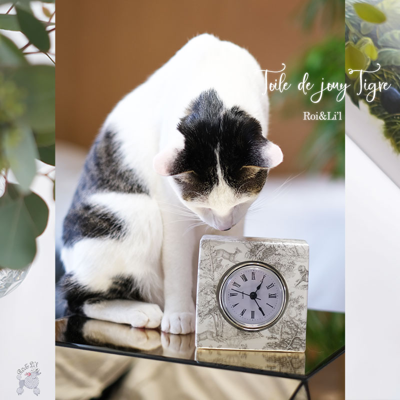 ž�̻� ��Toile de Jouy Tigre/Gray-�ȥ��ɥ��奤��������/���졼��A3