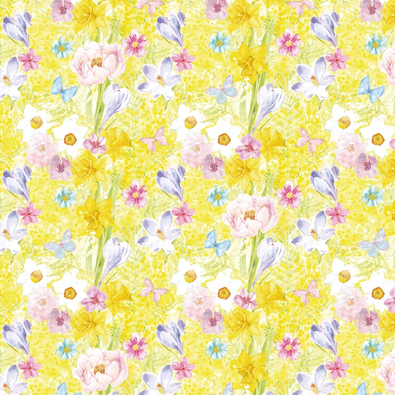 ž�̻� ��Mimosa Garden - �ߥ⥶�����ǥ�� A3