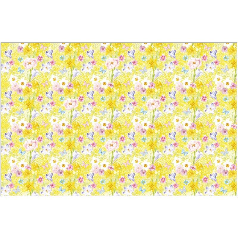 ž�̻� ��Mimosa Garden - �ߥ⥶�����ǥ�� A3