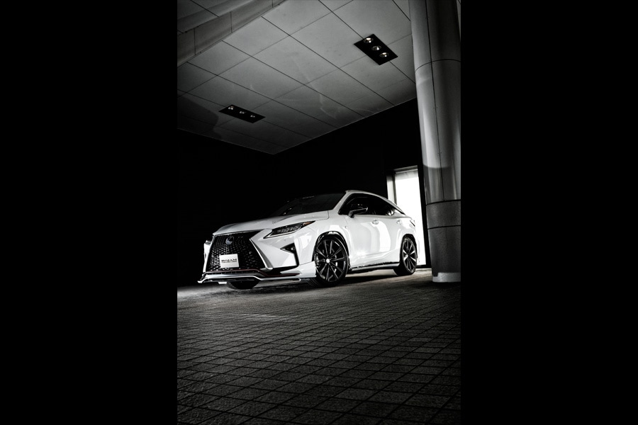 ROJAM IRT レクサス RX 20系 前期 200t Fスポーツ用 フロントリップ・リアアンダーリップセット LEDレス Ver