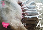 【バックナンバー】あいち食べる通信 vol.1 2019年3月創刊号