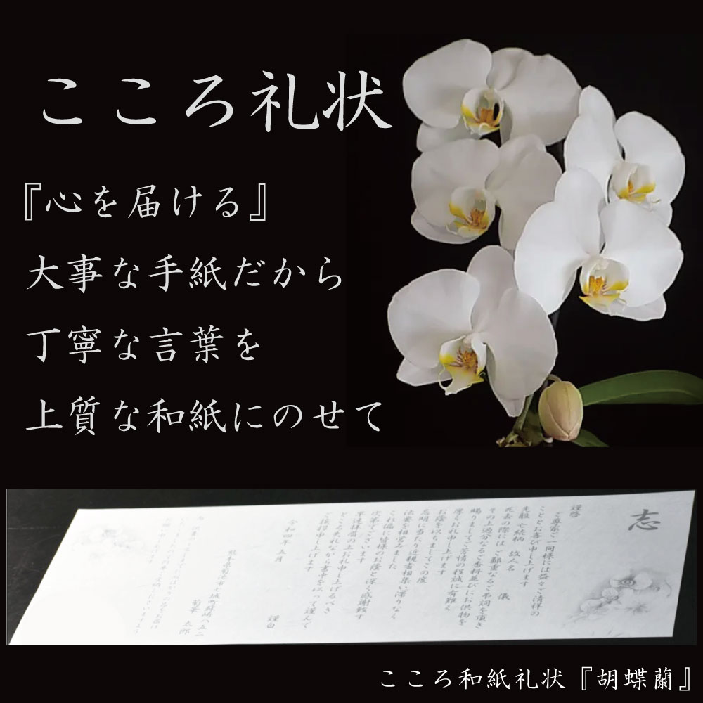高級和紙礼状 胡蝶蘭 20枚入り(仏式・神道・キリスト教対応)奉書 巻紙|横500mmの横長大判サイズ・胡蝶蘭絵入り