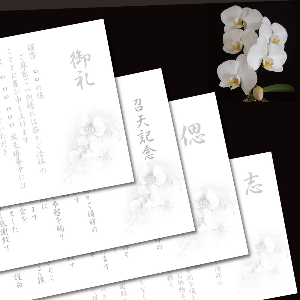 高級和紙礼状 胡蝶蘭 20枚入り(仏式・神道・キリスト教対応)奉書 巻紙|横500mmの横長大判サイズ・胡蝶蘭絵入り