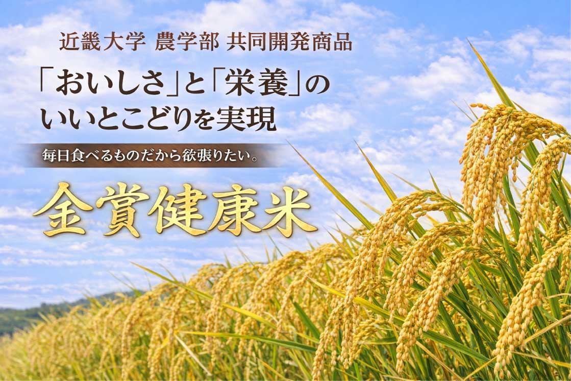 1万円の 香典返し に選ばれている  フリーズドライセット 送料無料　個包装　返礼品　引出物無料　個包装　返礼品　引出物