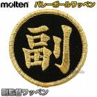 ���ƥ�molten���Х졼�ܡ��롡�����ĥ�åڥ�VWSGLF