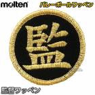���ƥ�molten���Х졼�ܡ��롡���ĥ�åڥ�VWSGLK