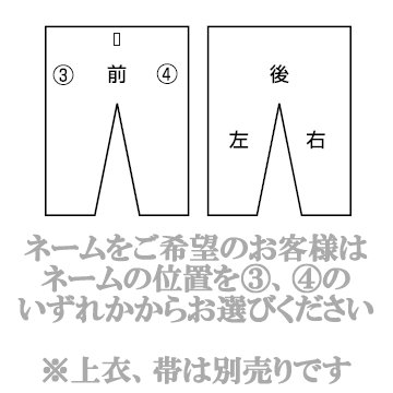 ��ݯ���������IJF����ǧ���ƻ�塡�羭���֥롼��JNV�����ܥ�ñ�ʡ�JNVP����ƻ�� ��ݯ��ƻ�� ��������