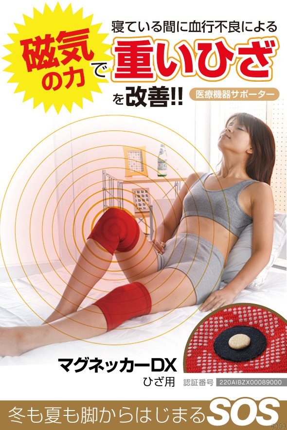 �ޥ��ͥå���DX �Ҥ���(B)���Ҥ����ݡ����� ɨ���ݡ����� ���ŵ��掠�ݡ�����