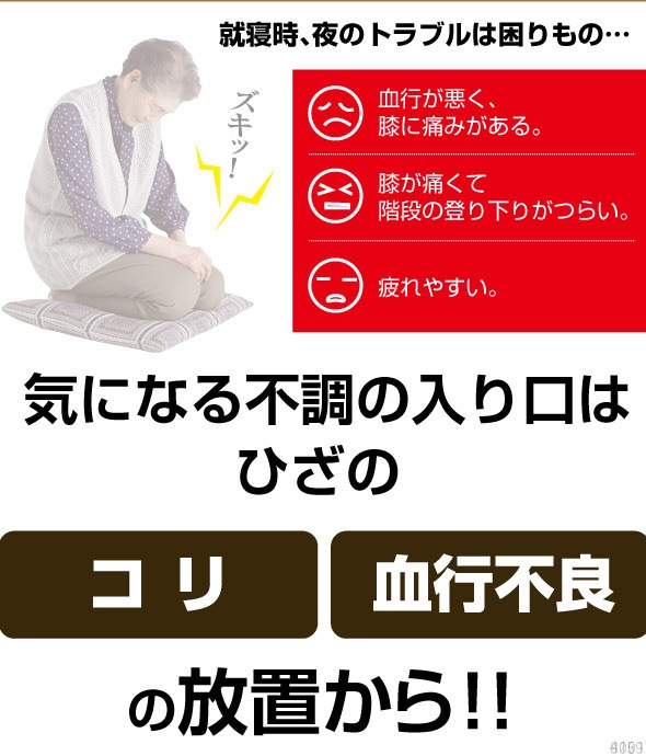 �ޥ��ͥå���DX �Ҥ���(B)���Ҥ����ݡ����� ɨ���ݡ����� ���ŵ��掠�ݡ�����