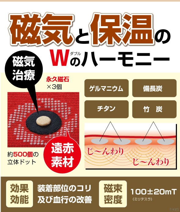 �ޥ��ͥå���DX �Ҥ���(B)���Ҥ����ݡ����� ɨ���ݡ����� ���ŵ��掠�ݡ�����