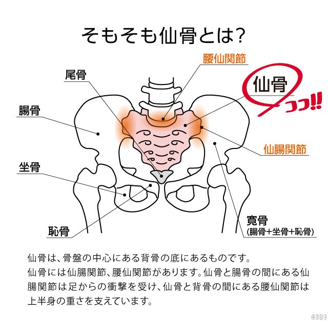 ������å�������饹�ȥ�å� ����ޤ��ζ�����ۤ���