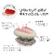 ������å�������饹�ȥ�å� ����ޤ��ζ�����ۤ���