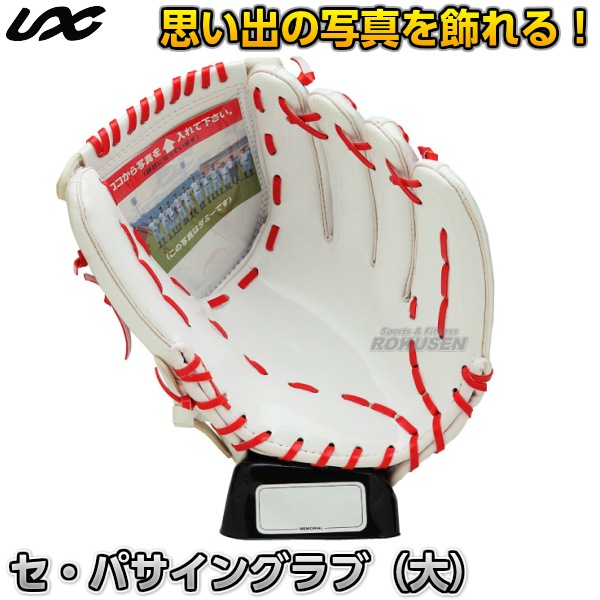 野球・ソフトボール・ティーボール セパ・サイングラブ（大） ホワイト