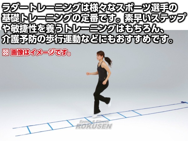 TOEI LIGHT���ȡ������饤�ȡ����ԡ��ɥ����6M���꼰��G-1366��G1366�ˡ��������� XYSTUS