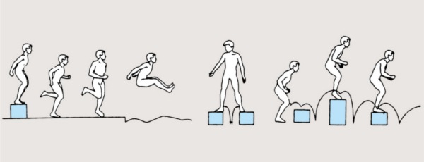 NISHI ニシ・スポーツ プライオボックスIII 高さ60cm 3833A792