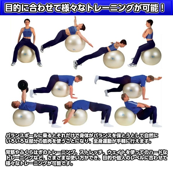 NISHI���˥������ݡ��ġ��Х�󥹥ܡ��롡�Υ�С�����V�ܡ���65