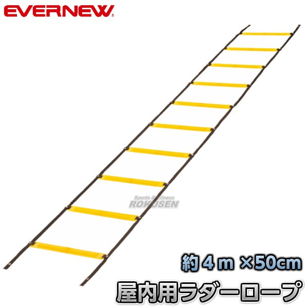 EVERNEW�����Х˥塼�����եȥ�����ȥ졼�˥󥰥����ס�EGA480