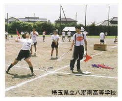 NISHI���˥������ݡ��ġ�����ꤲ�������ܥ����VII��300g��T5109����ڳ ����٥�å������� ���ꤲ���� �˥����ݡ���