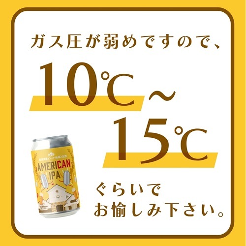 【送料無料】AMERICAN IPA 350ml缶　6本 姫S