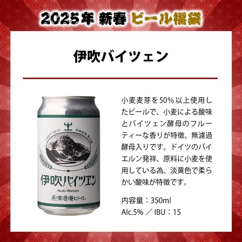 2025新春ビール福袋 クラフトビール12本セット 1月中旬以降発送予定