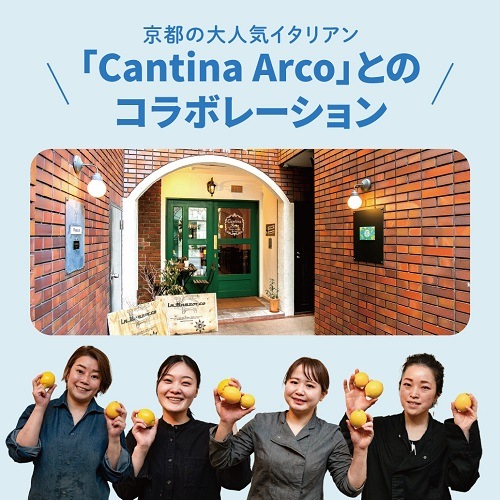 【限定醸造】瀬戸内レモンピルスナー 6本セット 姫S