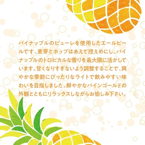 【限定醸造】Nagahama Pineapple Ale 6本セット 姫S