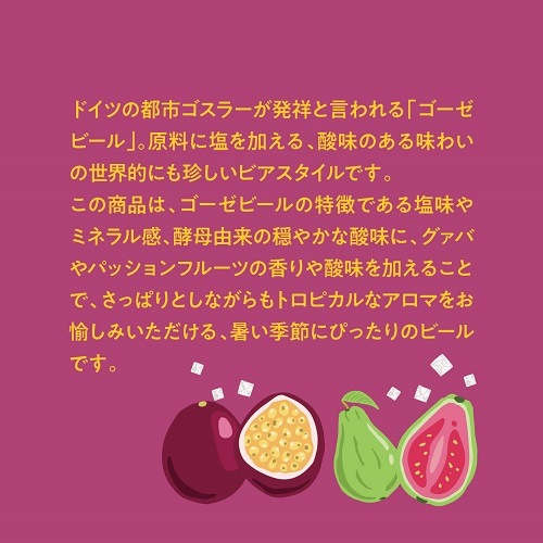【限定醸造】Fruits Gose 6本セット 姫S