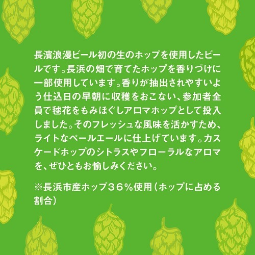 【限定醸造】Nagahama Flesh Hop Pale Ale 6本セット 姫S