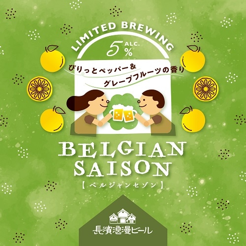 【限定醸造】Belgian Saison ベルジャン　セゾン 6本セット 姫S