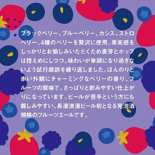 【限定醸造】NAGAHAMA BERRY ALE 6本セット 姫S