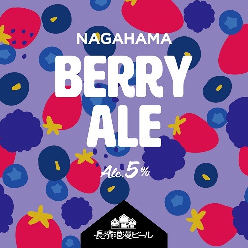 【限定醸造】NAGAHAMA BERRY ALE 6本セット 姫S