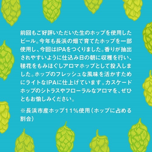 【限定醸造】Nagahama Fresh Hop IPA 6本セット 姫S