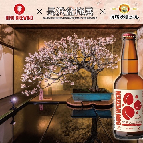 ボン梅ツェン2023 Bon-Weizen 6本 姫S