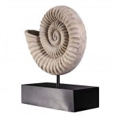 ʪɸܤΥʥȲФĦ Ħ/ Design Toscano Ammonite Fossil Sculpture on Museum Mount[͢