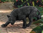 ɿ ֥åѥ󥵡 ǥĦ ԥ塼 ɥץǥ// Shadowed Predator Black Panther Garden Statuee[͢