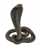 �礭�ʥ��󥰥��֥�Ħ�� Ħ�� �Ǽإ��͡��� �����֥�����/ Large Bronzed King Cobra Statue(͢����