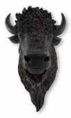 �ꥢ��ʥ֥�å��Хåե�����/�Х�����Ƭ���ʥ�������ޥ���ȥإåɡ� Ħ�� Ħ��/ Black Buffalo / Bison Wall Mount Head��͢����
