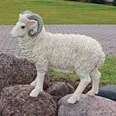 �ǥ����󡦥ȥ������� �Ѥ���ä� �ɡ����å��� �ҥĥ� Ħ�� Ħ��/ Horned Dorset Sheep Statue(͢����