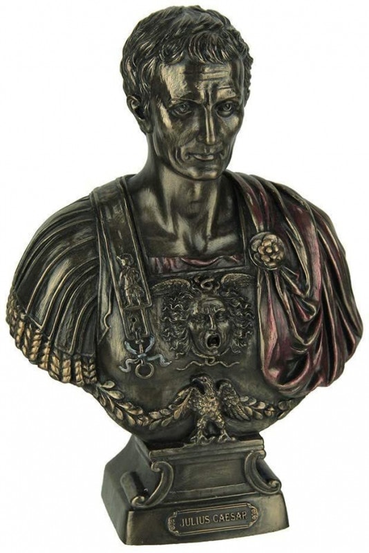 ����ꥢ������������ �������붻����ʪ Ħ�� Ħ��/ ������ ��ͺ ������ ���ꥢ�ﵭ ��ӥ����� ��ǰ�� �ץ쥼��� £��ʪ��͢���ʡ�