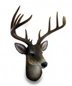 �Ѥ���ä�������ͺ��Ƭ��Ħ�� ��Ħ��/ �ϥ�ƥ��󥰡��ȥ��ե��� ������������ƥꥢ �쥹�ȥϥ��� �ѥ� ���۽ˤ��ץ쥼���£��ʪ[͢����