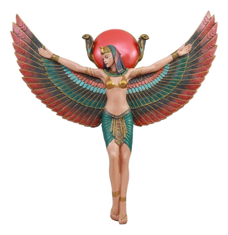 ���奨���ץȤν����������� ���󥰥�������ǥ��졼����� �ɳݤ�Ħ��; ����ο��� �����ե����奢 ��ʪĦ�� ˭���ν��� �ʥ������͢����