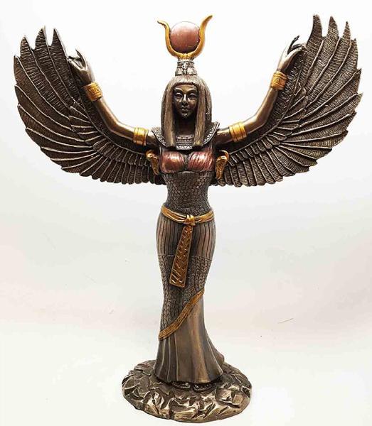 ���奨���ץ�Ħ�� ���򹭤������� ��������Ħ�� �⤵30���/ ��� �ԥ�ߥå� ���ե��󥯥� �ե��饪 ��ǰ�� �ץ쥼���£��ʪ [͢����