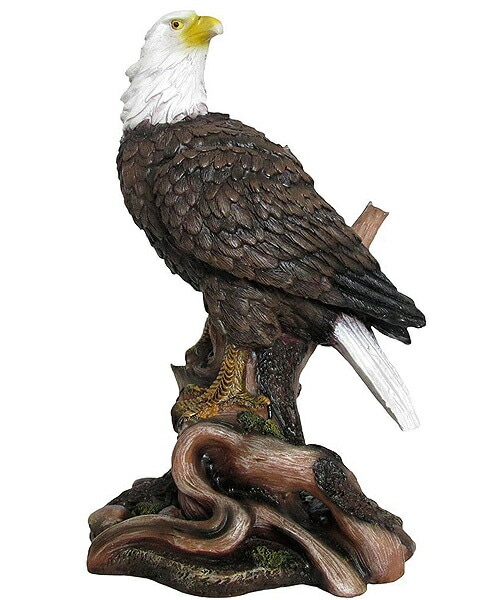 ����ꥫ����Ƭ�� Ħ��(��Ļ���꡼��) ����Ħ��/ ���� ���å��ۡ��।��ƥꥢ �������륹 �������ե� ��ǰ�ʥץ쥼��� £��ʪ(͢���ʡ�