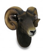 ͺ���ɳݤ����� ��������Ƭ�� ��ʪĦ��/ ��� �ϥ�ƥ��� ���� �����ʥ��� ���ե��� ���� ���˥� ���եꥫ ���м� �ץ쥼���[͢����