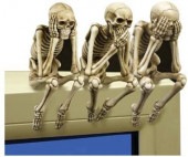 �ѥ��ե��å��� �⤵ ��9.5��� �����롢���虜�롢ʹ�����롢�ٰ��ʳ���ã ��ʪĦ�� Ħ��/£��ʪ �ץ쥼���(͢����)