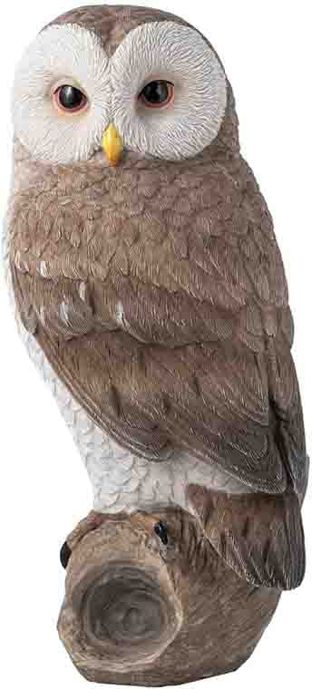 �ե����� �沰��Ħ�� �����ǥ����� ����ǥ��� ��� ���쥯�������ʪ ������Ħ��(͢����