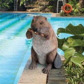 ߤ롢ӡСĦưʪʪ ǥ󥤥ƥꥢĦ ס  ȥ £ʪ(͢