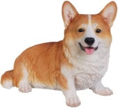 ϥ饤 襤ΥǥĦ Ħ ʥʪ   £ʪ(͢