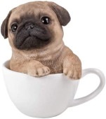 ���餷���ƥ������åס��ڥåȡ��ʤ��褷�Ҹ� ���쥯����󡦥ե����奢�֥ѥ���Ħ�� ��ʪ ���쥯����� £��ʪ(͢����